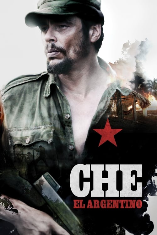 Che: El argentino poster