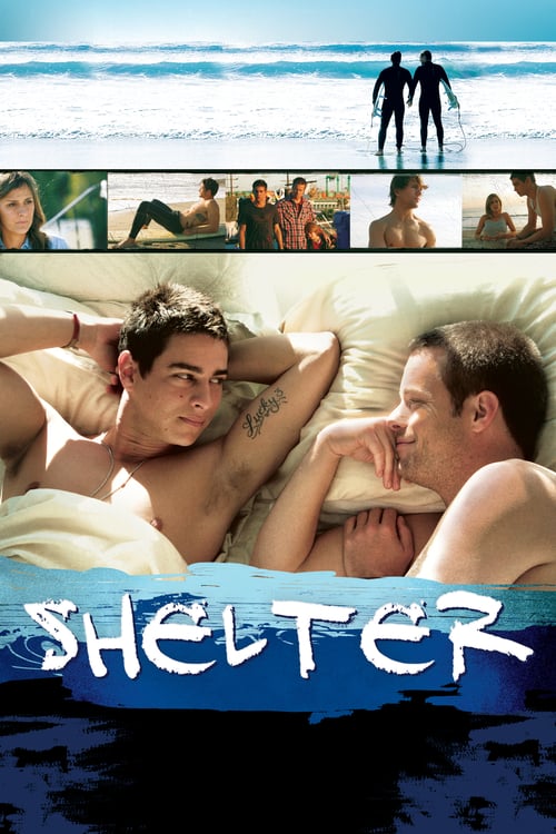 Póster película Shelter