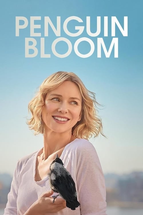 Póster película La familia Bloom