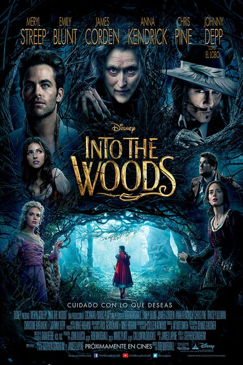 Póster película Into the Woods