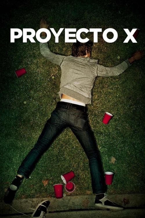 Proyecto X poster