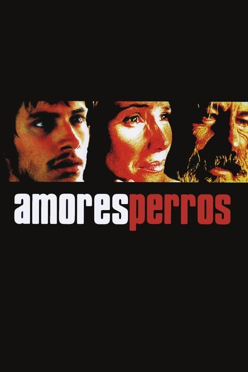Amores perros poster