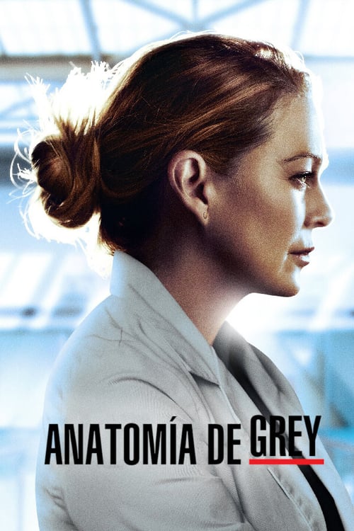 Póster película Anatomía de Grey