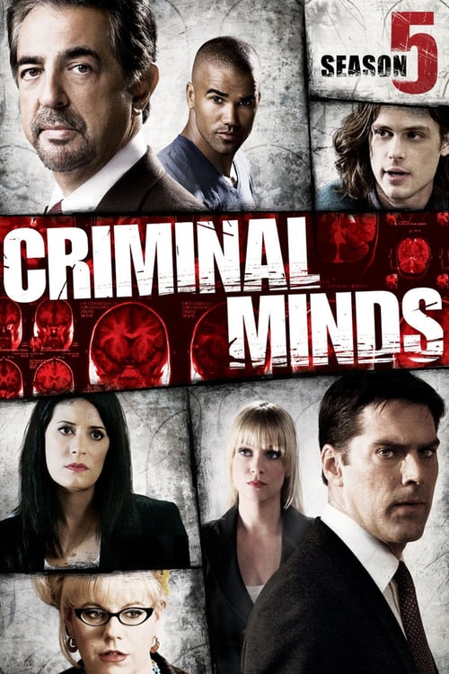 Temporada 5 : Mentes criminales