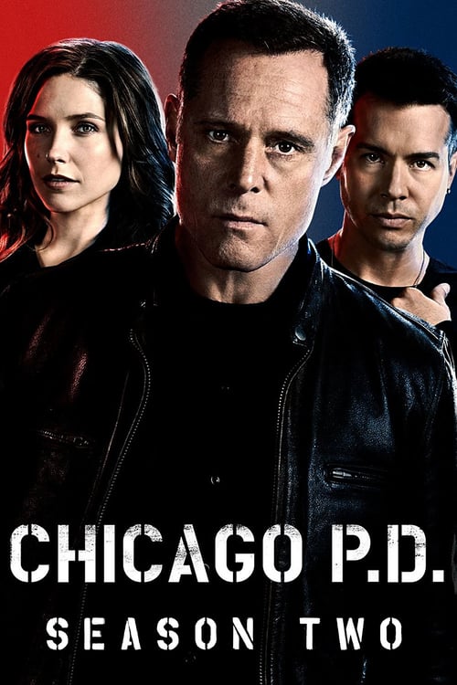Temporada 2 : Chicago P.D.