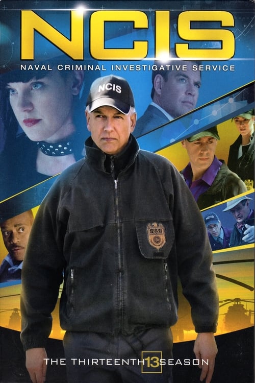 Temporada 13 : Navy: investigación criminal