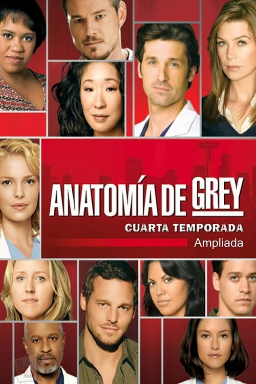 Temporada 4 : Anatomía de Grey