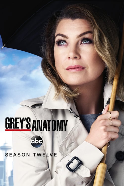 Temporada 12 : Anatomía de Grey
