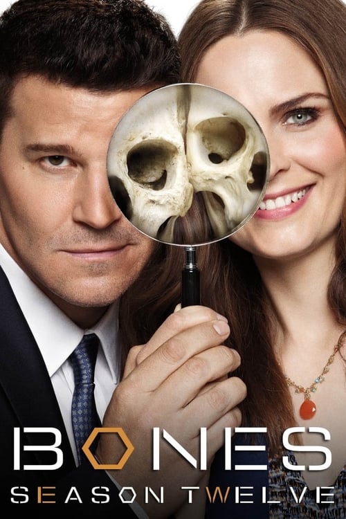 Temporada 12 : Bones