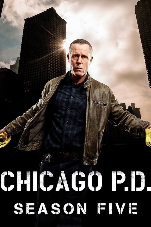 Temporada 5 : Chicago P.D.