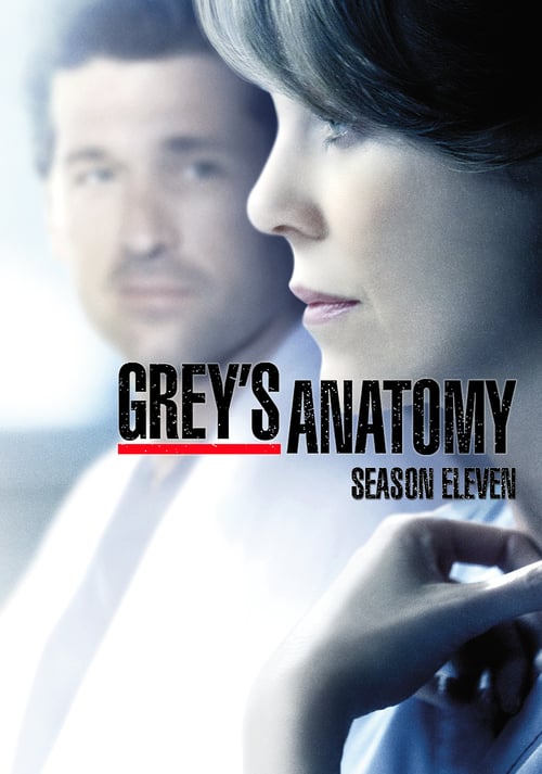 Temporada 11 : Anatomía de Grey