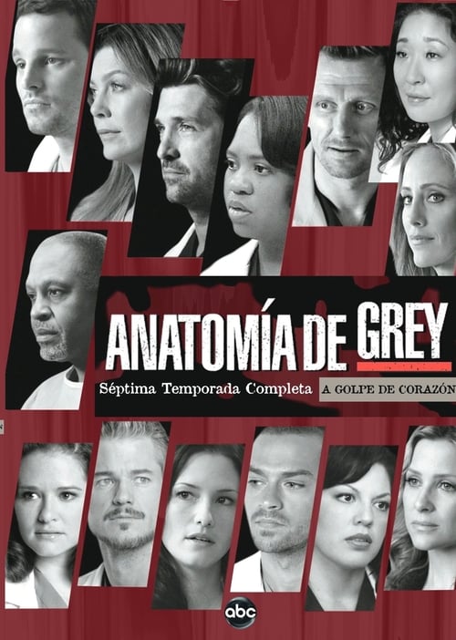 Temporada 7 : Anatomía de Grey