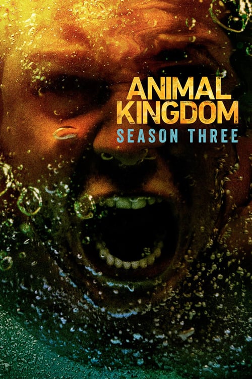Temporada 3 : Animal Kingdom