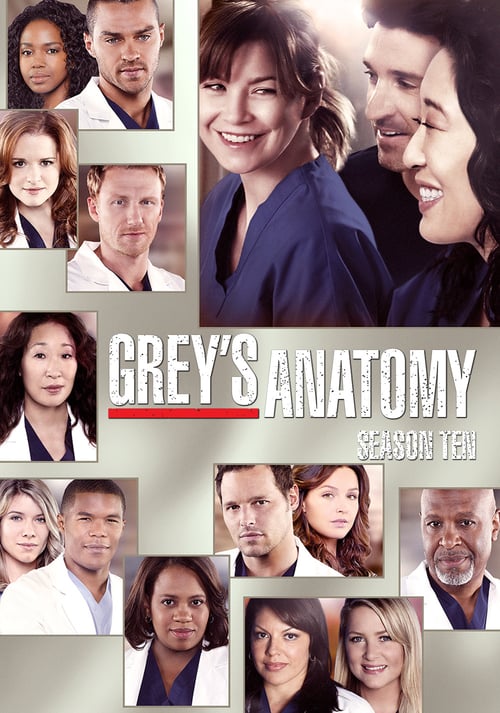Temporada 10 : Anatomía de Grey
