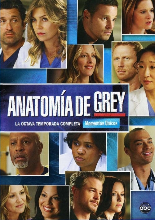 Temporada 8 : Anatomía de Grey