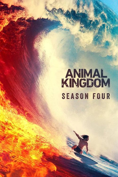 Temporada 4 : Animal Kingdom