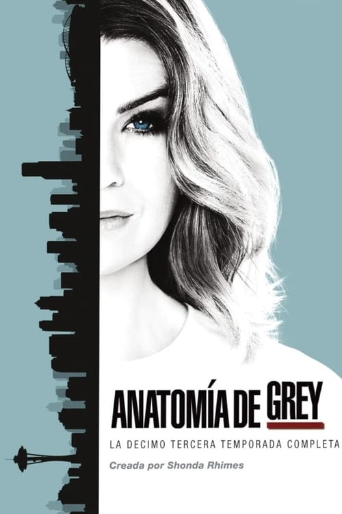 Temporada 13 : Anatomía de Grey