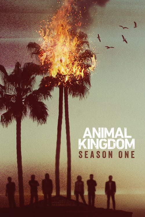 Temporada 1 : Animal Kingdom