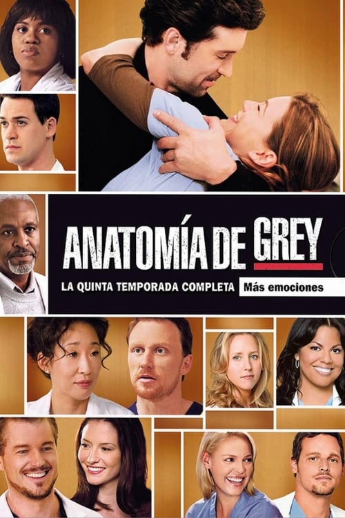 Temporada 5 : Anatomía de Grey