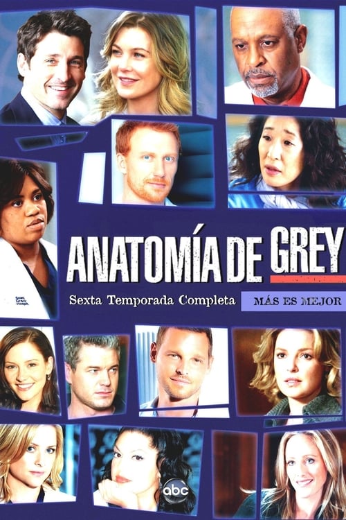 Temporada 6 : Anatomía de Grey