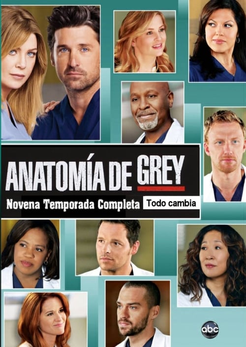 Temporada 9 : Anatomía de Grey